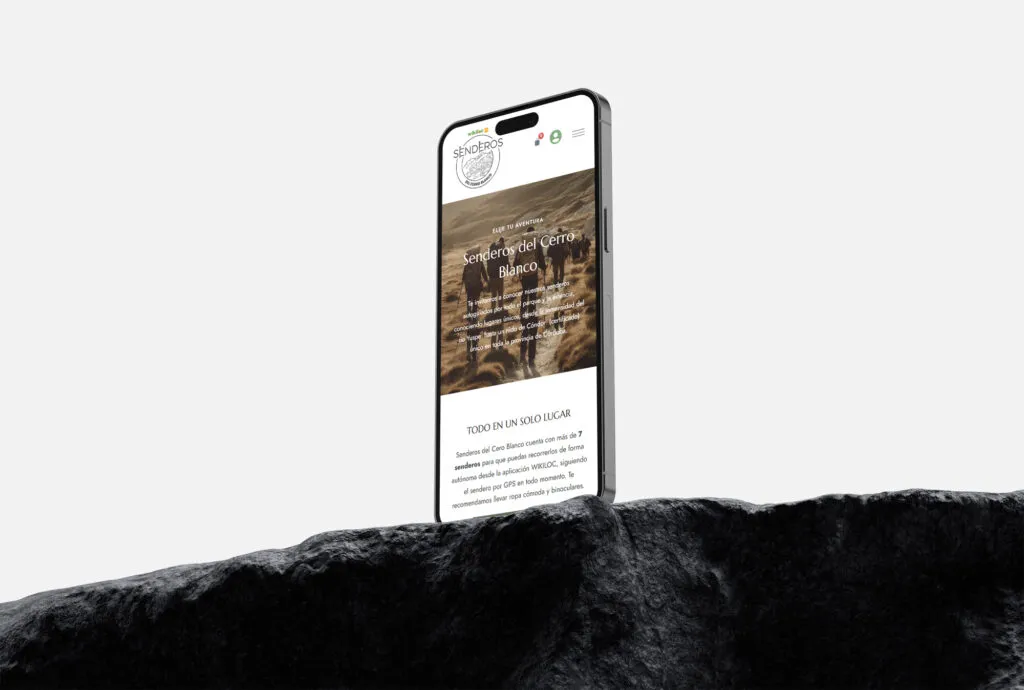 Diseño Web